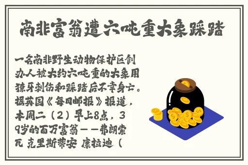 小猪视频免费观看下载大全