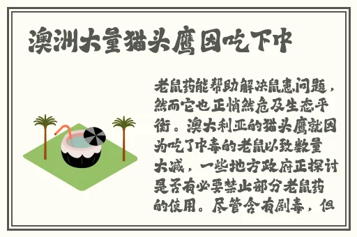 韩国VS日本中国VS美国高清视频